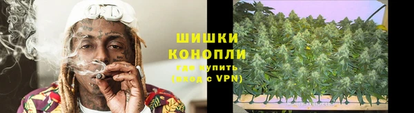 spice Богородск