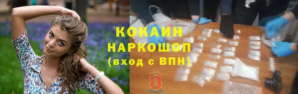 spice Богородск
