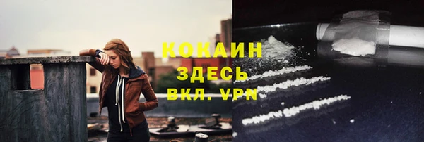 spice Богородск