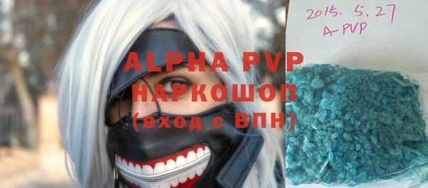 spice Богородск